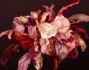 Blooming Rouge