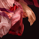 Blooming Rouge