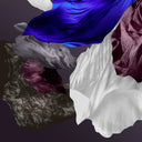 Mauve Majesty